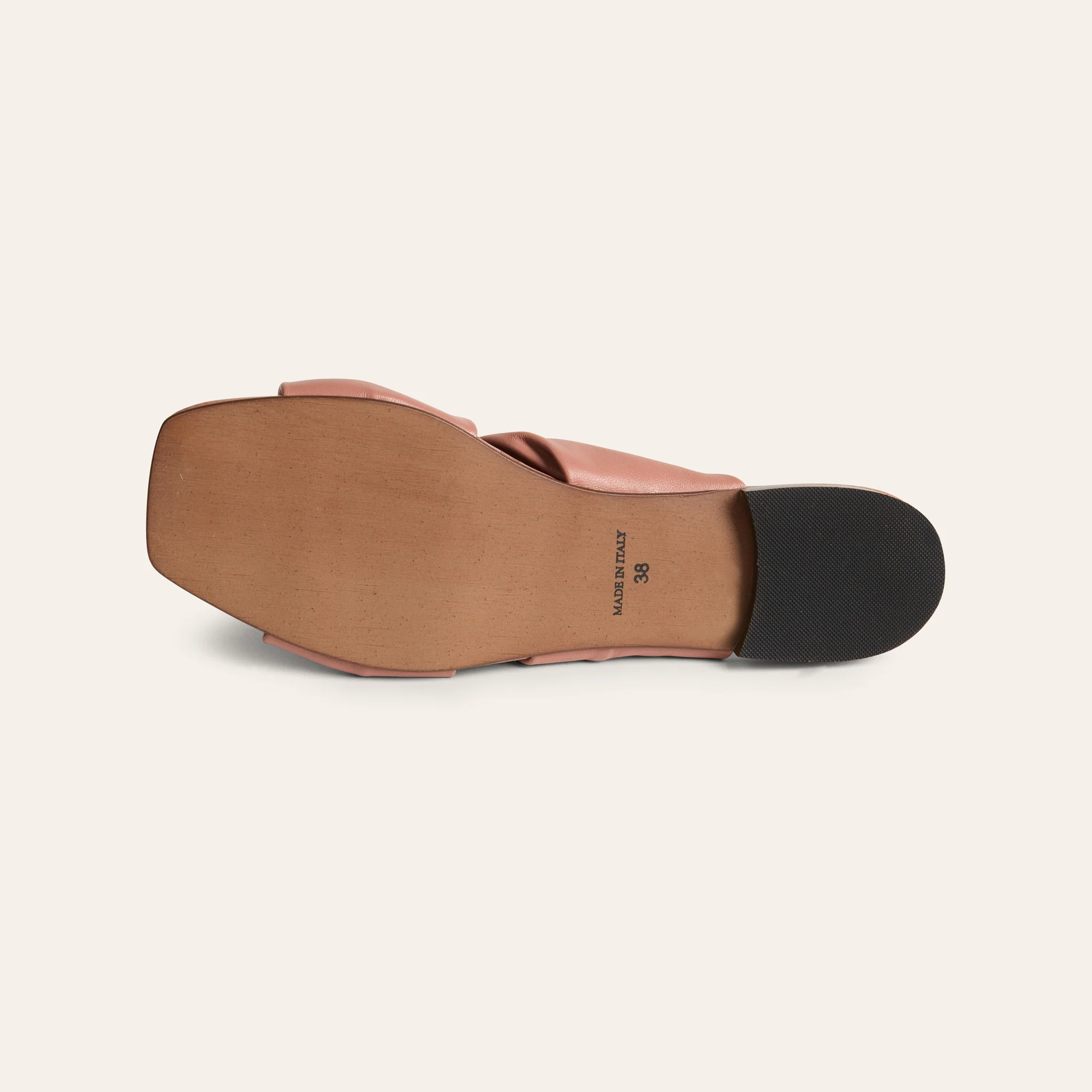 Rodi - Rose Aube - Image 4