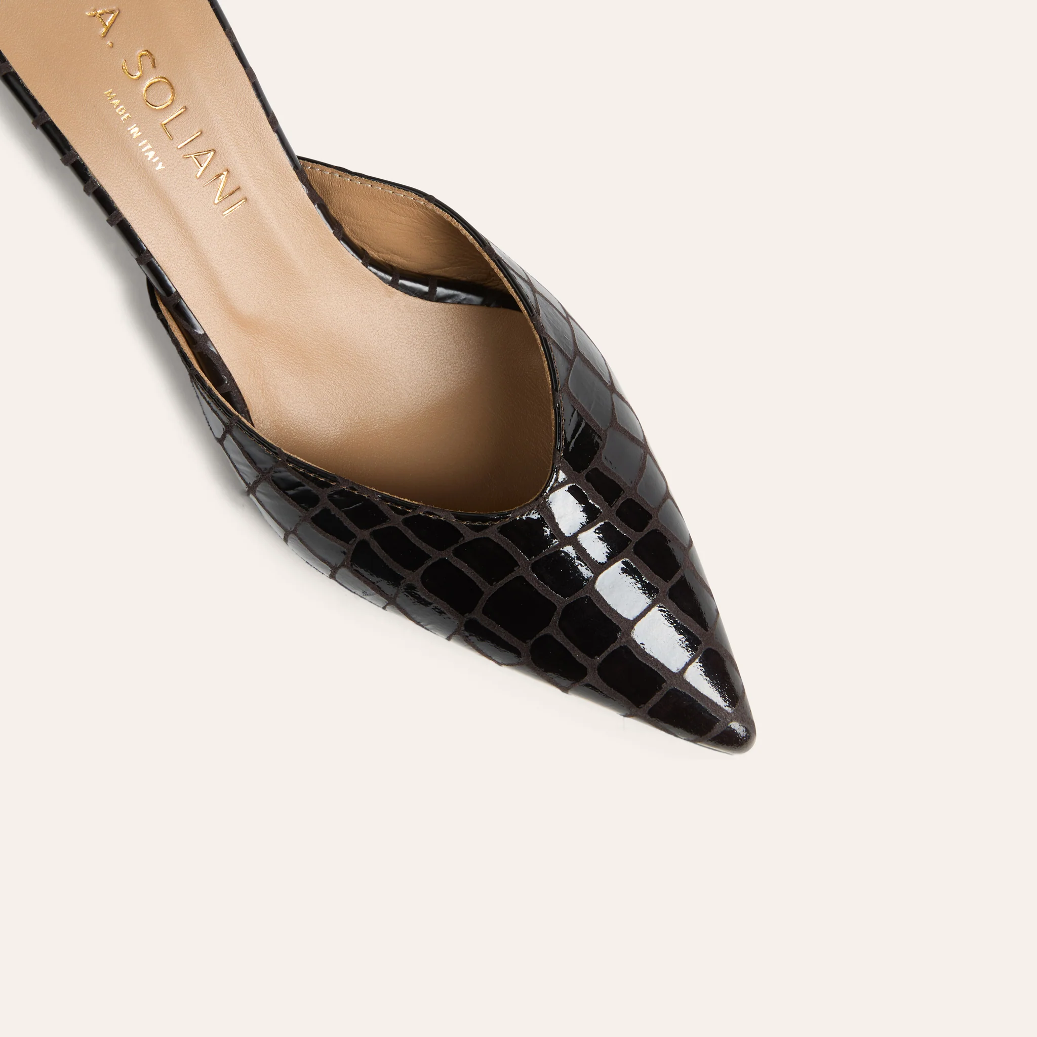 Savoia - Mocha Croc - Image 7